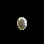 Load image into Gallery viewer, South Sea Pearl 10.65cts (31/424)