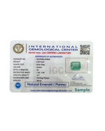 Load image into Gallery viewer, Natural Emerald (Panna) 9.43cts (42/525)