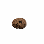 Load image into Gallery viewer, Natural Rudraksha 13mukhi
