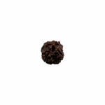 Load image into Gallery viewer, Natural Rudraksha 4mukhi