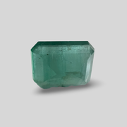 Natural Emerald (Panna) 7.53cts (27/336)